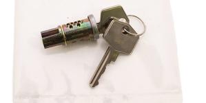 Rear Upper Tailgate lock Barrel [BRITPART 391523]
