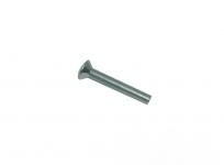 Door Hinge Bolt - Door [ALLMAKES OE ASR1603]