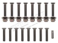 Door Hinge Bolt Kit - Stainless Steel [BRITPART DA1132P]