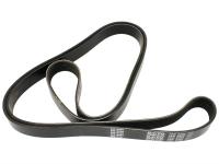 Belt - Fan [Dayco ERR4623]