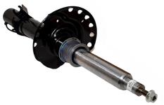 Shock Absorber [BWI LR079422]