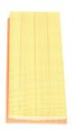 Air Filter Element [COOPERS LR161843]