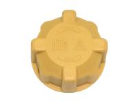 Expansion Tank Cap [EUROSPARE PCD100160]