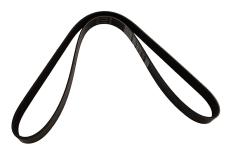 Belt - Alternator [DAYCO PQS101262L]