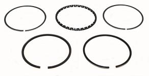 Ring Set [BRITPART RTC240820]