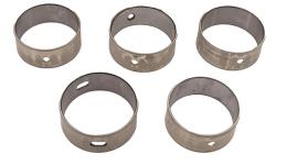 Camshaft Bearing Set [ALLMAKES RTC5918]