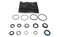 Steering Box Seal Kit [CORTECO STC2847G]