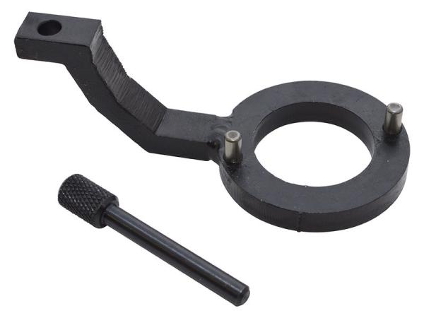 Fuel Pump Locking Tool [LASER DA6120]