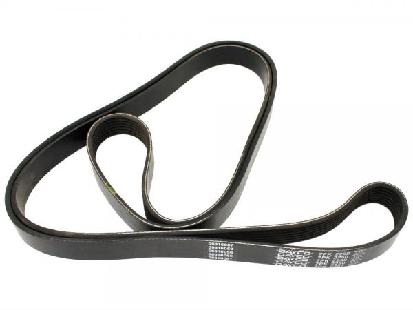 Belt - Fan [Dayco ERR4623]