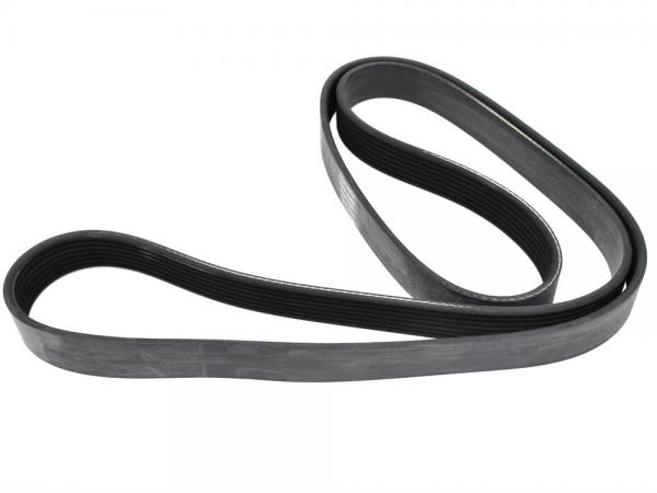 Belt - Fan [DAYCO ERR5911]