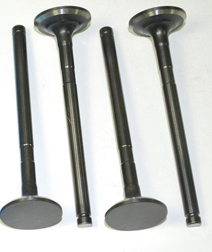 Exhaust Valves [BRITPART LGH101190L]