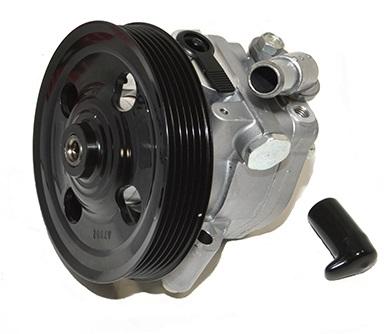 Pump - Power Steering [OEM LR006462G] Primary Image