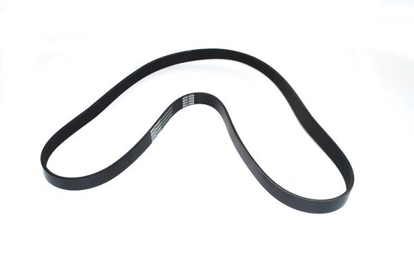 Belt - Alternator [DAYCO PQS101272L]