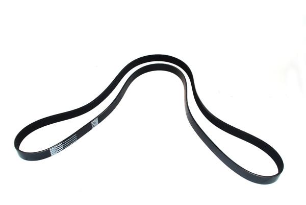 Belt - Fan [DAYCO PQS101480]