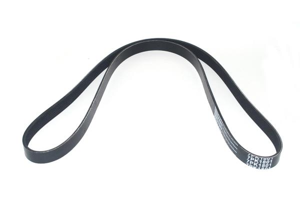 Belt - Fan [DAYCO PQS101500]