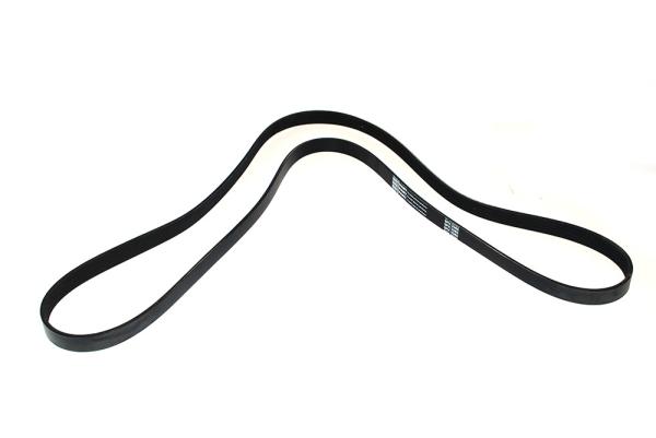 Belt - Water Pump [DAYCO PQS500081]