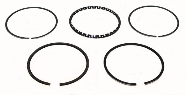 Ring Set [BRITPART RTC240820]