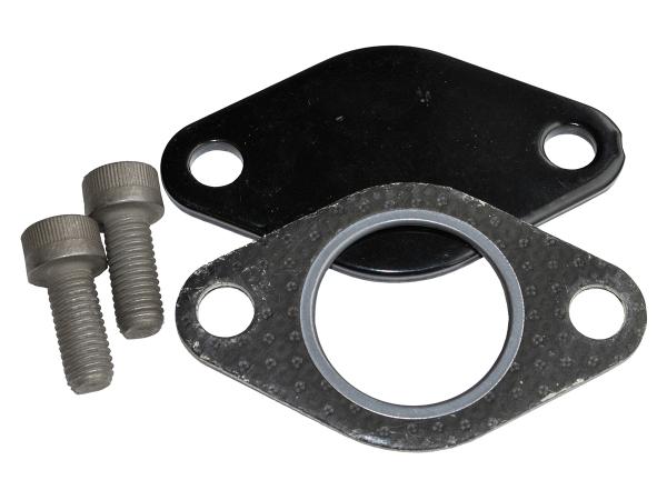 Egr Removal Kit [TERRAFIRMA TFEGR300]