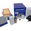 Service Kit 3.0 AJ20D6 Diesel Injenium [BRITPART DA6740]