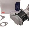 EGR Valve RH [BORGWARNER LR018324B]