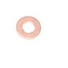 Injector Sealing Washer [ELRING LR032818]