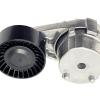 Lower Tensioner - Fan Belt [LAND ROVER LR079293]