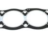 Head Gasket [ELRING LVB500030G]