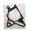 Oil Pump Gasket [ALLMAKES LVG10005]