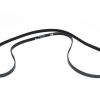 Drive Belt - Primary [DAYCO PQR500340]