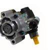 Steering Pump [BRITPART QVB101070R]