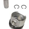 Piston and Rings Assembly [BRITPART RTC644220]