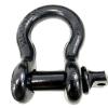Bow Shackle [TERRAFIRMA TF3304]
