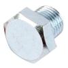 Sump Plug [EAC UAM2957L]